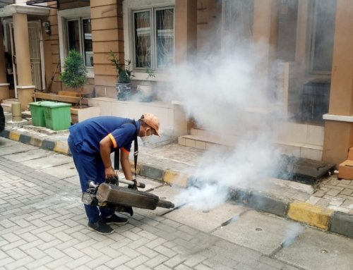 Kegiatan Fogging Nov 2025